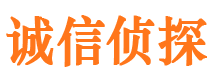 阜城市侦探